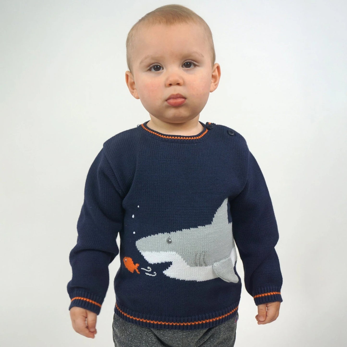 Zubels Shark Sweater